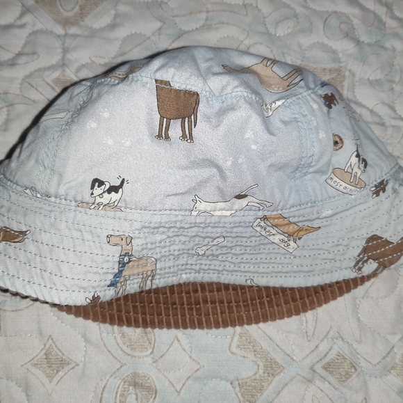 Vtg Gymboree Best In Show Reversible Bucket Hat - Picture 2 of 4